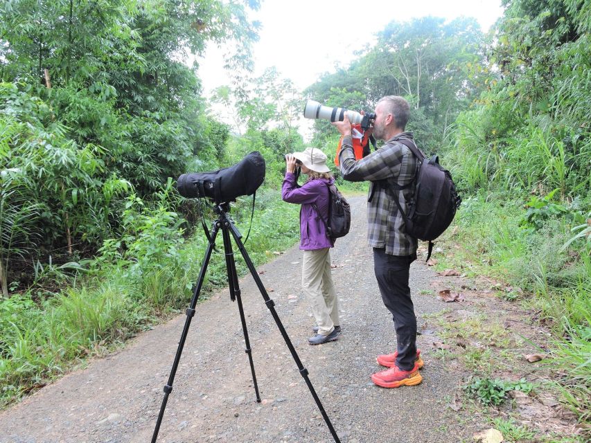 Amazonian Adventure 3 Days: Exploring the Jungle from Cusco - Guadalupe Lodge after dark