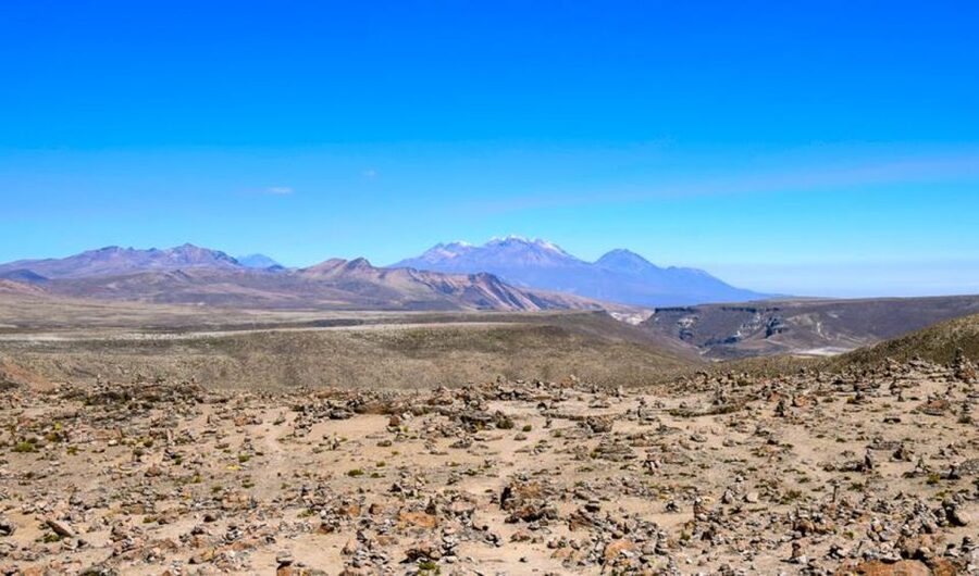 Andes: Colca Canyon Day-Trip - Food, transport, and guide quality