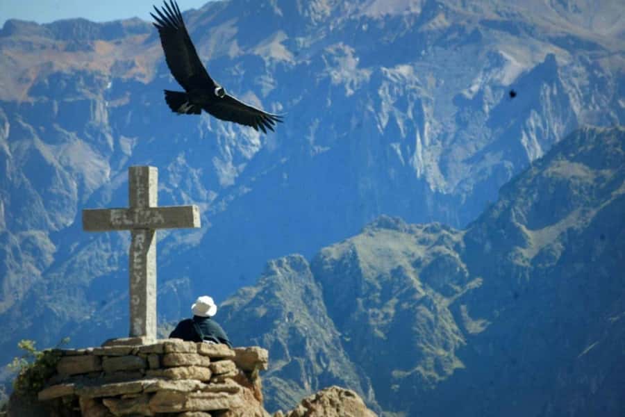 Arequipa: 1-Day Colca Canyon + Thermal Baths Tour - Cruz del Condor and the main canyon view