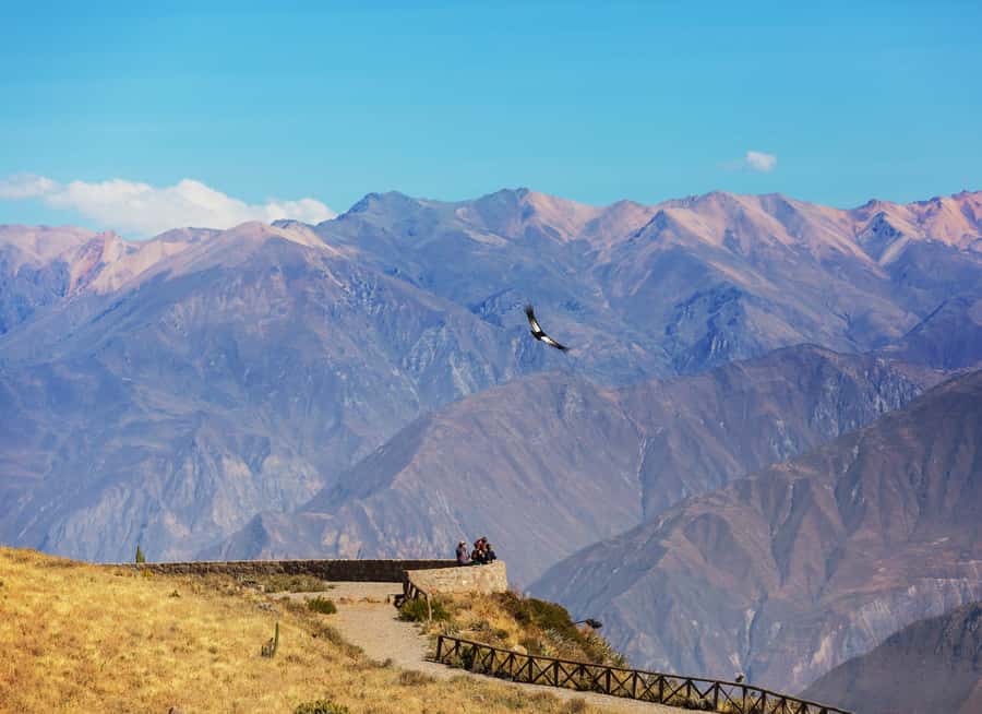 Arequipa: 2-Day Colca Canyon Classic Tour return to Arequipa - Key points at a glance