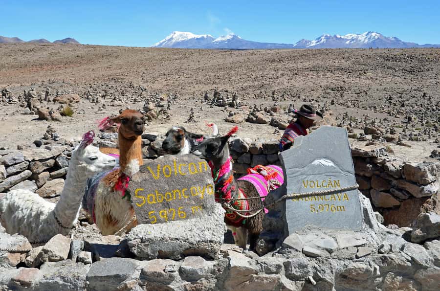 Arequipa: 2-Day Colca Canyon Classic Tour return to Arequipa - Chivay, Yanque, and the hot pools at Chacapi