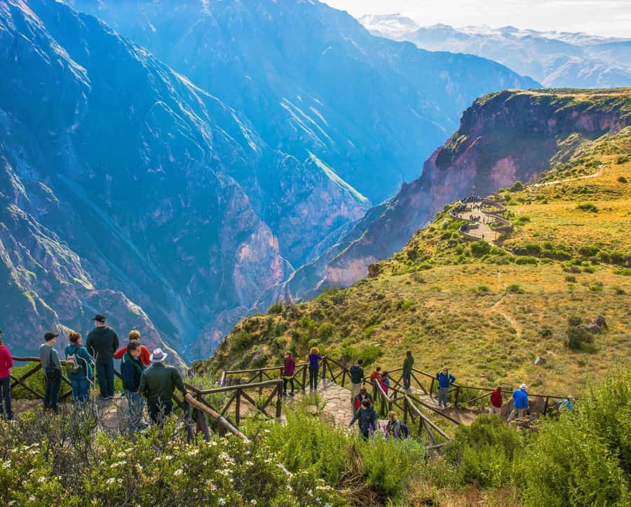 Arequipa: 2-day Colca Canyon Trekking, Ending in Puno - Who should book this Colca Canyon trek?