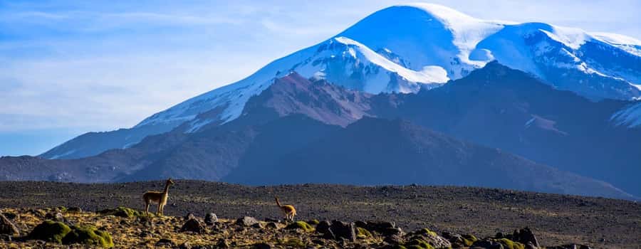 Arequipa | Ascent to Chachani Volcano 2 days / 1 night - Guide support and group size