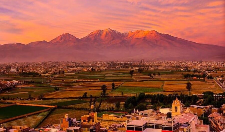 Arequipa: City and Country Tour - Incalpaca Outlet and four South American camelids