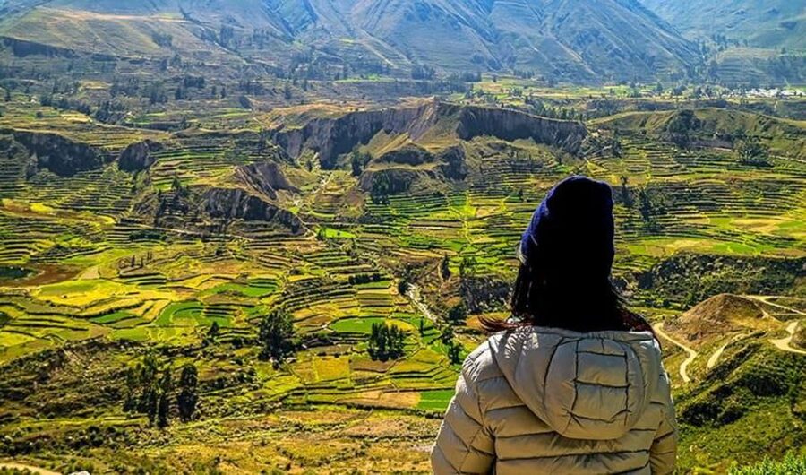 Arequipa: City and Country Tour - Sachaca and the food traditions of Tingo