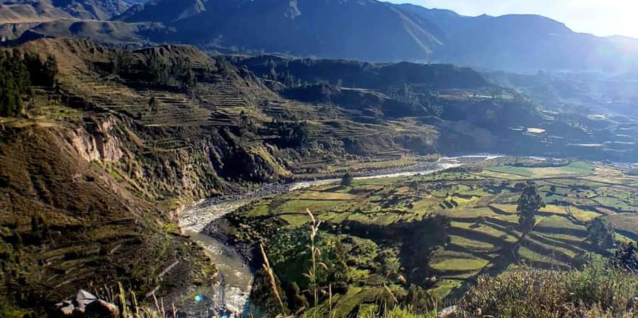 Arequipa : Colca Canyon 2-Day Adventure - From Arequipa to vicuñas in the national reserve
