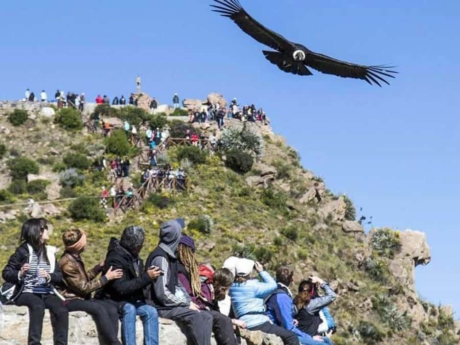 Arequipa: Colca Canyon Trekking 2 days and 1 night + food - Key points to know before you book