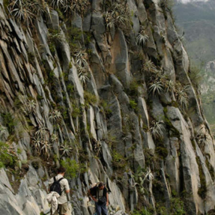 Arequipa: Colca Canyon Trekking 2 days and 1 night + food - From La Pampa de San Miguel into the canyon