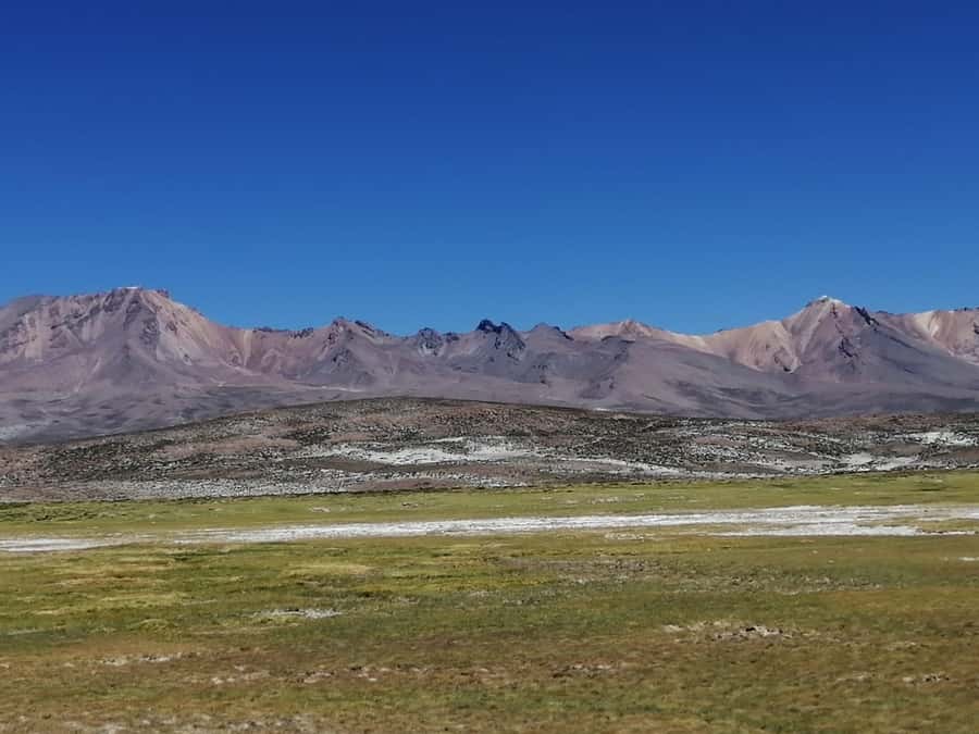 Arequipa: Full-Day Tour to Salinas Salt Lake - Salinas and Aguada Blanca: salt, animals, and open sky