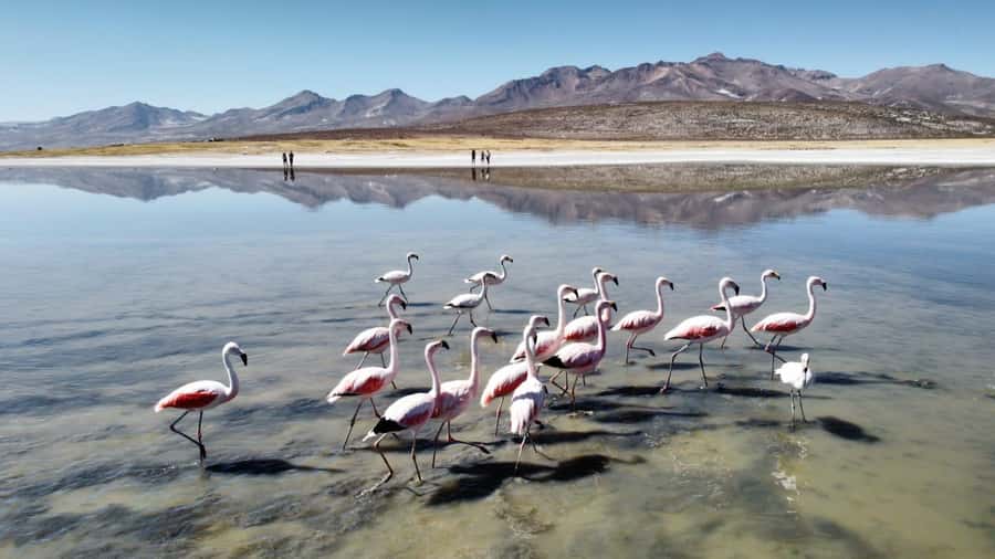 Arequipa: Full-Day Tour to Salinas Salt Lake - What to pack for a high-altitude day