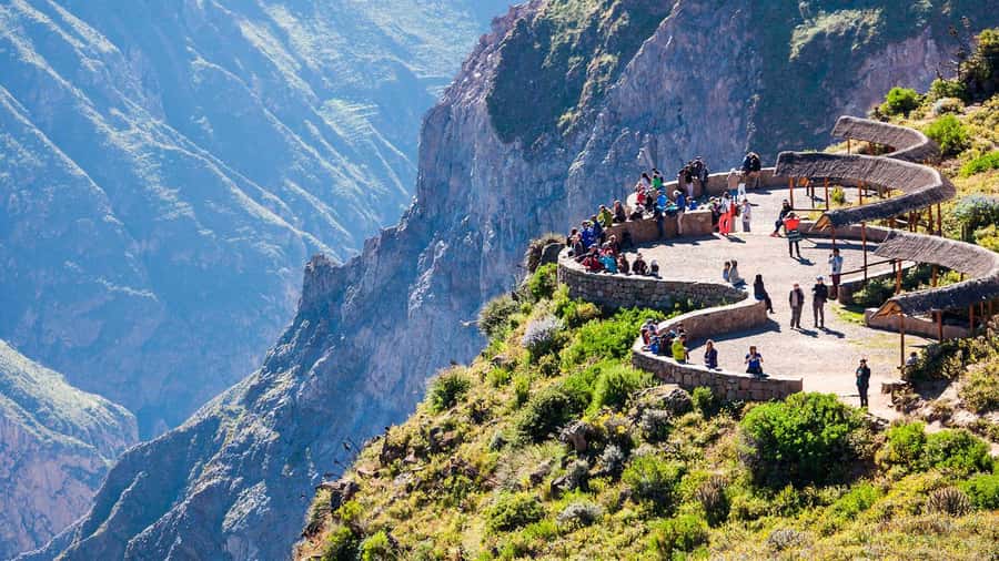 Arequipa: Fullday Colca Canyon + Lunch + Transfer to Puno - Why This Route Works Well for a Peru Itinerary
