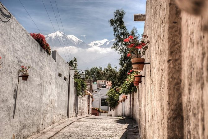 Arequipa, Historic and Colonial City and Santa Catalina Monastery - Who will get the most from the $61 price?