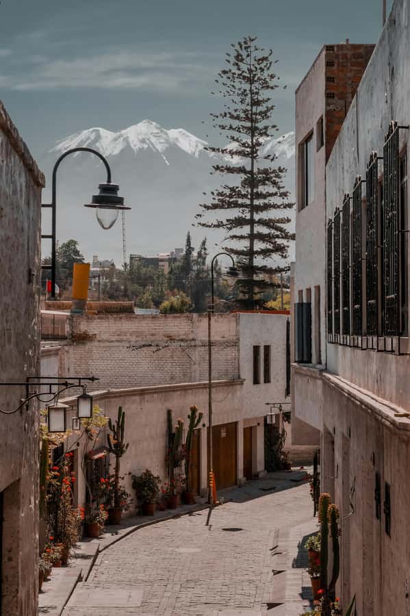 Arequipa: Walk through the Historic Center of the City - Colonial cloisters with time to look up