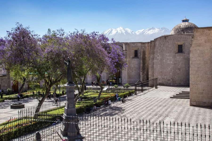 Arequipa Walking Tour and Santa Catalina Monastery - The guide, language, and level of personal attention
