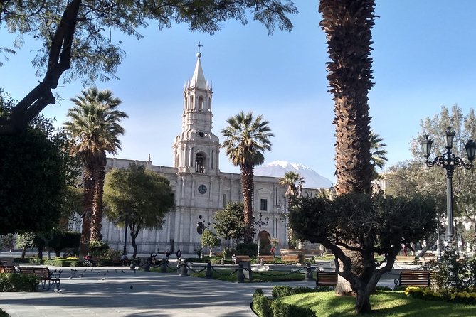 Arequipa Walking Tour city center and drinks experience - Plaza de Armas and the rooftop finish