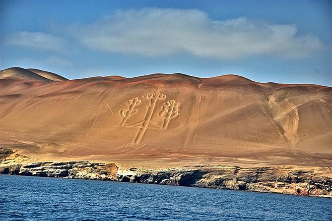 Ballestas island & Paracas reserve from PISCO CRUISESHIP TERMINAL - The speedboat to Ballestas Islands