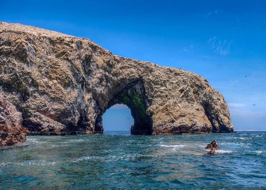 Ballestas Islands and Huacachina Oasis Half-Day Tour - Who will enjoy this most?