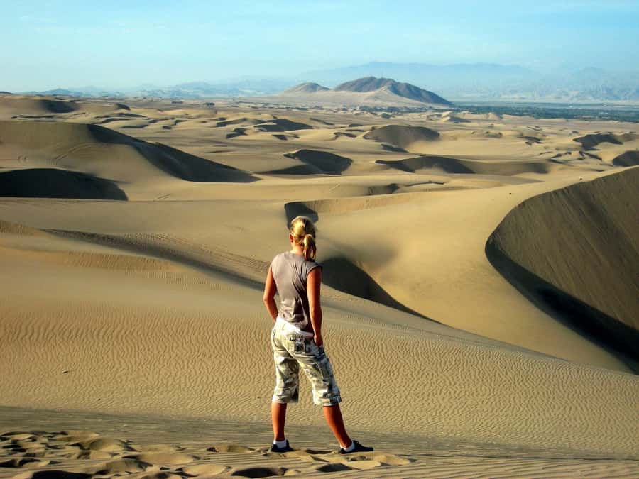 Ballestas Islands and Huacachina Oasis Half-Day Tour - How long does this really take?