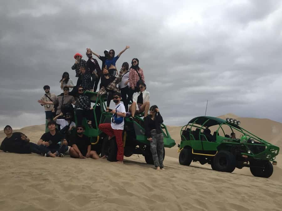 Ballestas Islands and Huacachina Oasis Half-Day Tour - Meeting the wildlife at Ballestas Islands