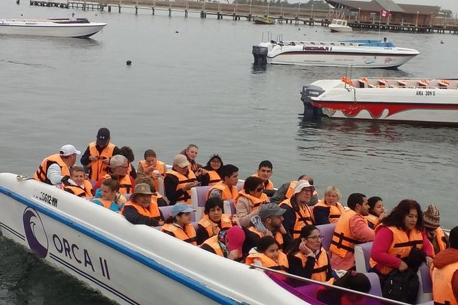 Ballestas Islands Group Tour from Paracas - Speedboat ride to the Ballestas Islands