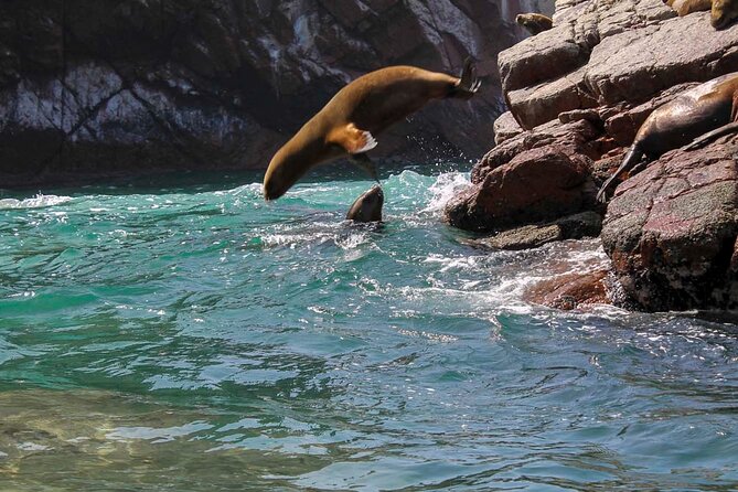 Ballestas Islands & National Reserve of Paracas from Ica - Paracas National Reserve and its stark coastal views
