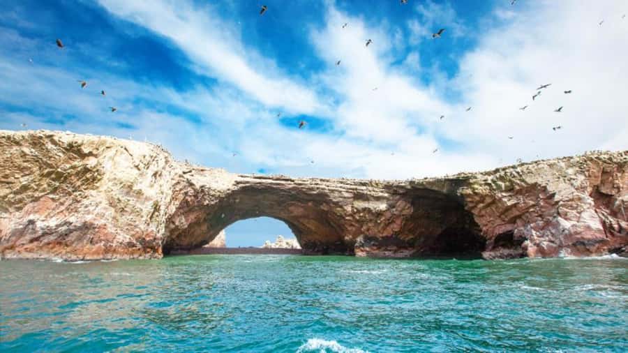 Ballestas Islands & Paracas National Reserve from Paracas - Timing, clothing, and what to bring