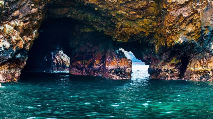 Ballestas Islands & Paracas National Reserve from Paracas - A full day built around Paracas’ two coasts