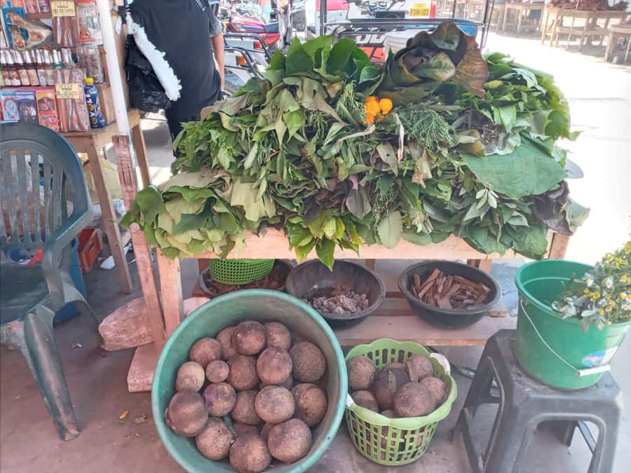 Belen Market & Floating City 2-3 Hour Private Tour - Five Things to Know Before You Go