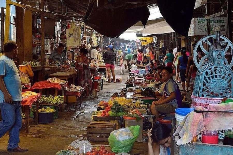 Belen Market & Floating City 2-3 Hour Private Tour - Seeing Iquitos’ Floating City Up Close