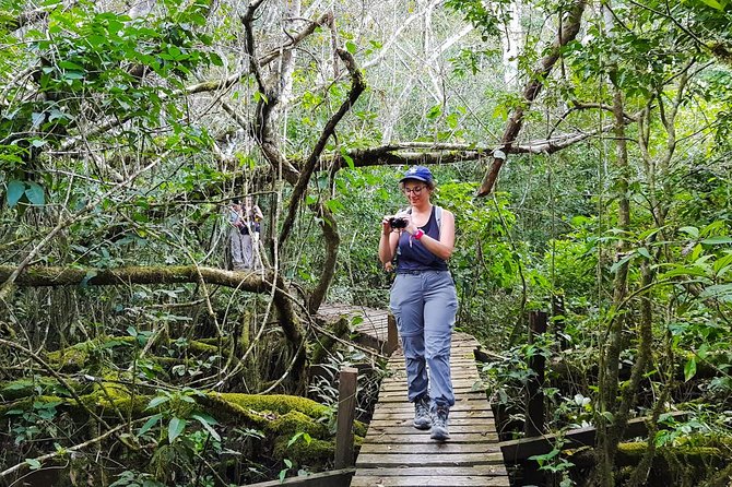 Best of Tambopata 2 nights by JunglePro - Why the Chuncho Macaw Clay Lick matters