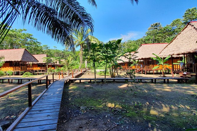 Best of Tambopata 2 nights by JunglePro - The wildlife list is broad, but patience wins