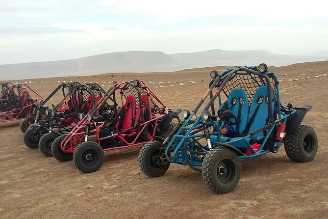 Buggy ride in Paracas National Reserve - How much value do you get for $55?
