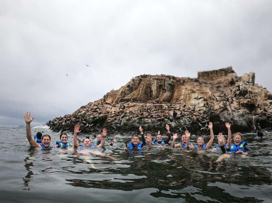 Callao: Swimming with Sea Lions Palomino Islands Boat Tour - Key points at a glance