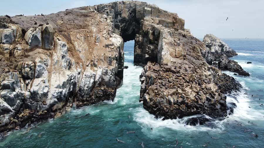 Callao: Swimming with Sea Lions Palomino Islands Boat Tour - El Camotal and the open-water crossing