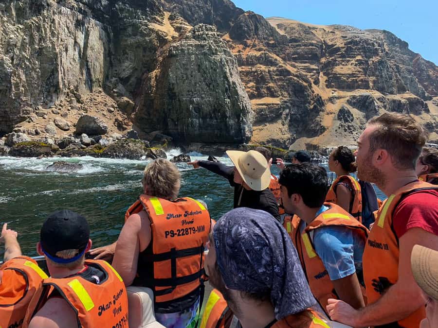Callao: Swimming with Sea Lions Palomino Islands Boat Tour - Meeting at El Mirador in Callao