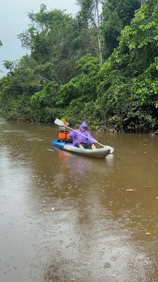Canopy Tower, Zipline, Kayak, and Monkey Island … - A full Amazon day from Puerto Maldonado