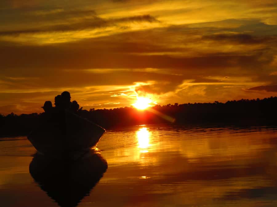 Capibara and caiman search on the Tambopata river - Key points to know before you book