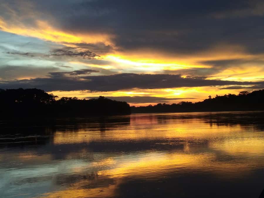 Capibara and caiman search on the Tambopata river - Leaving Puerto Maldonado at 3:30 pm