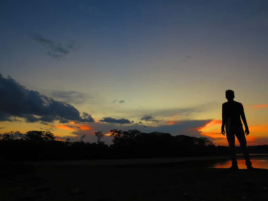 Capibara and caiman search on the Tambopata river - Searching for caimans, capybaras, and more