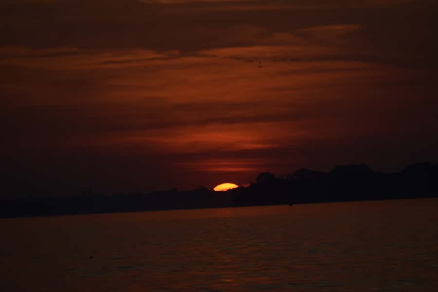 Capibara and caiman search on the Tambopata river - A guide-led lesson in the Amazon rainforest