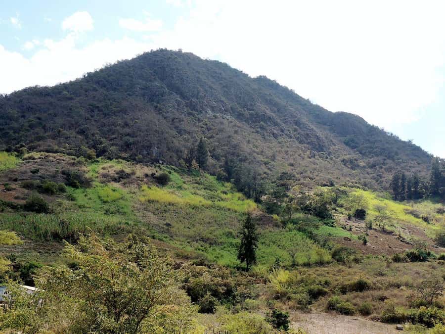 Chiclayo: Chaparri Ecological Reserve Tour - From Chiclayo to Chongoyape