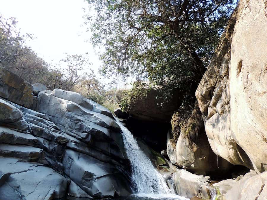 Chiclayo: Chaparri Ecological Reserve Tour - Tinajones Reservoir closes the day