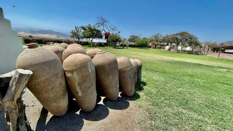 CITY TOUR ICA-HUACACHINA+BUGGIES IN PRIVATE CAR FROM PARACAS - What to Pack for the Desert and City