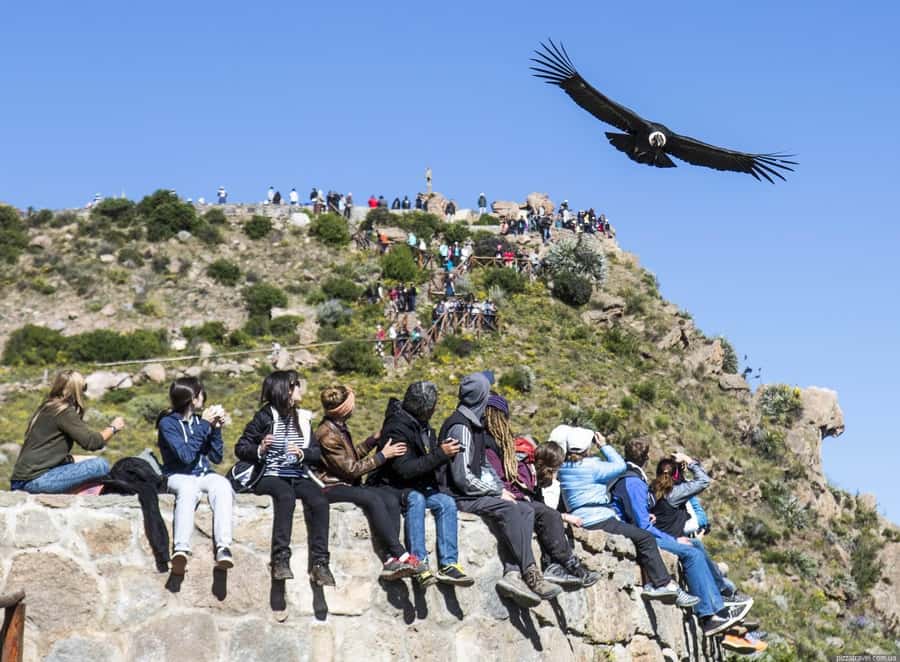 Colca Canyon: 2-Day Tour from Arequipa to Puno - Chivay overnight: useful stop, limited free time