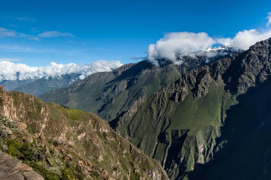 Colca Canyon Day Trip: From Arequipa to Puno - Key points to know before booking