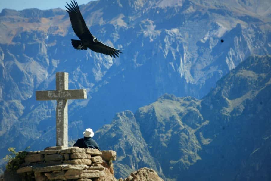Colca Canyon Day Trip: From Arequipa to Puno - What the $80 price really covers