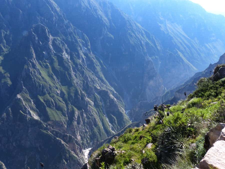 Colca Canyon Day Trip: From Arequipa to Puno - Cruz del Cóndor and the scale of Colca Canyon