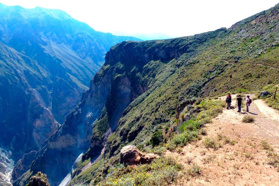 Colca Canyon Day Trip: From Arequipa to Puno - Antahuilque and Choquetico viewpoints