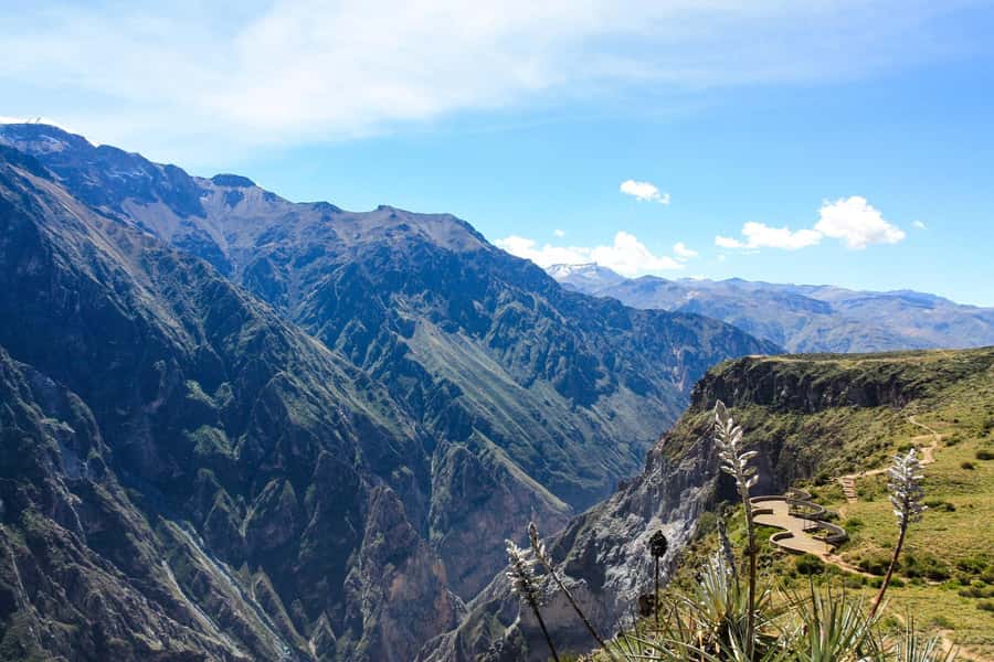 COLCA CANYON FULL DAY TOURS - Toccra wetlands, alpacas, and free-roaming vicuñas