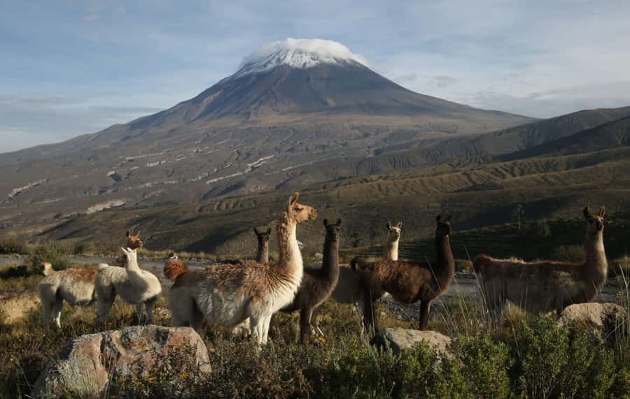 COLCA CANYON FULL DAY TOURS - The 3:00am departure from Arequipa